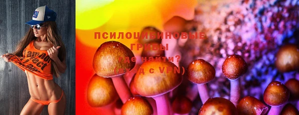 дмт Верхний Тагил