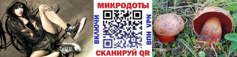 kraken ссылки  Вольск  Псилоцибиновые грибы MAGIC MUSHROOMS 